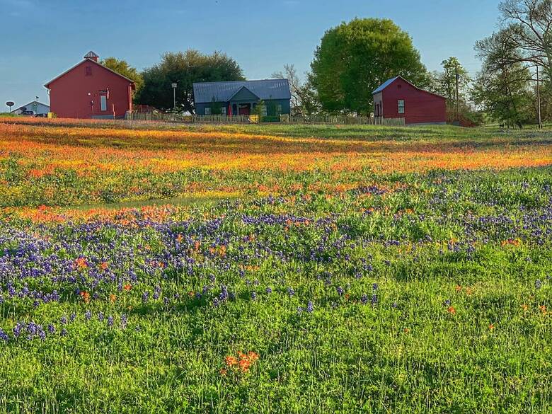 Bed & Breakfast Wakefield Farms Llc