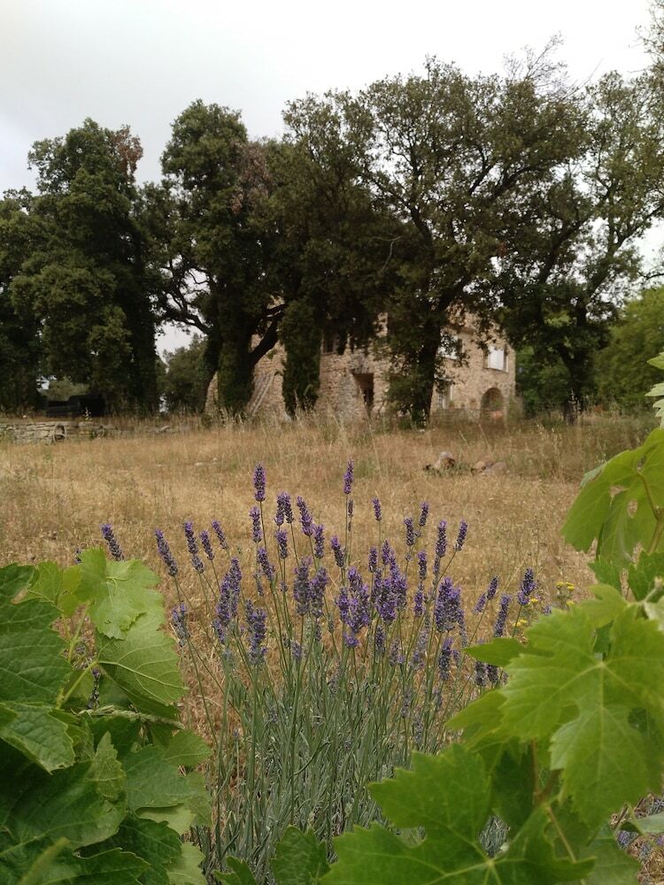 Bed & Breakfast Maison Catalina Au Mas Cambounet