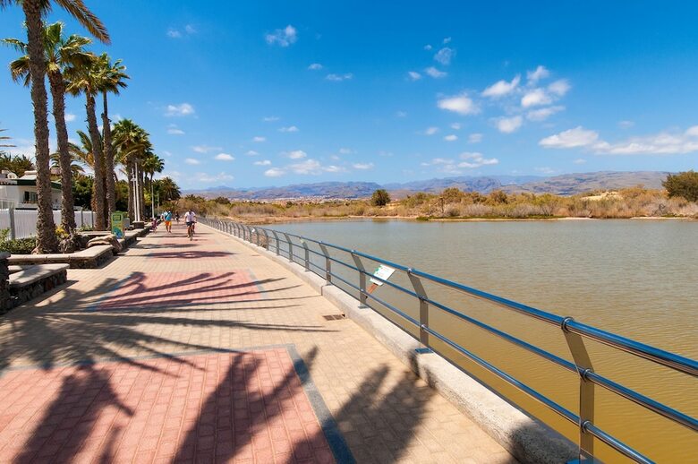 Maspalomas Beach Front Apartment Ref. Ab