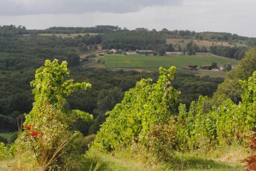 Bed & Breakfast Maison D'h�tes Rouge Bordeaux