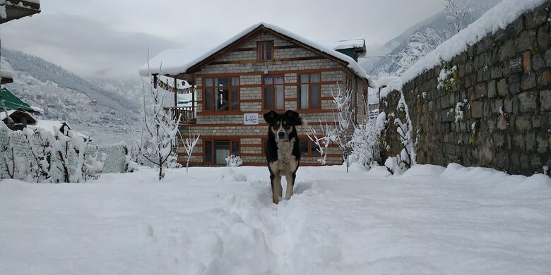 Hotel Lagom Stay