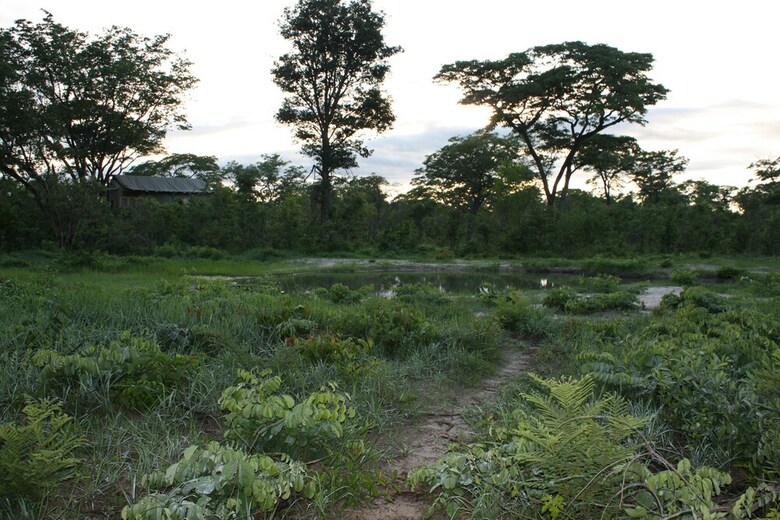 Posada Miombo Safari Camp