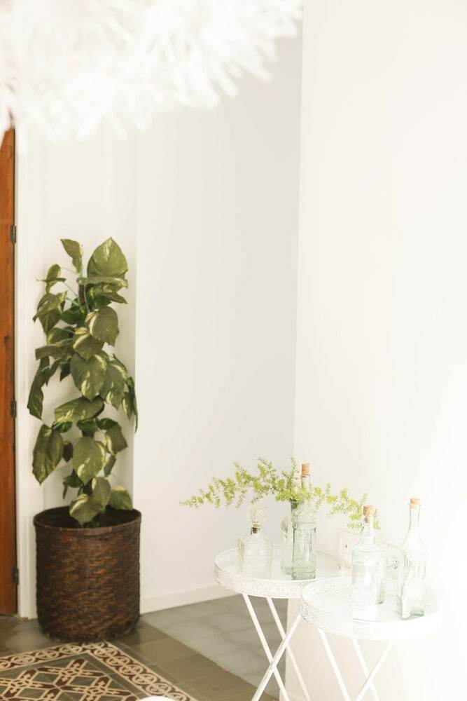 Apartamentos Letmalaga Pedregalejo Painter