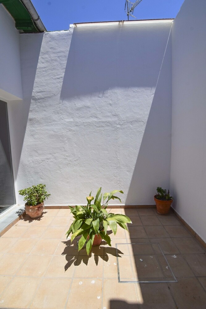 Apartamentos Letmalaga Pedregalejo Painter