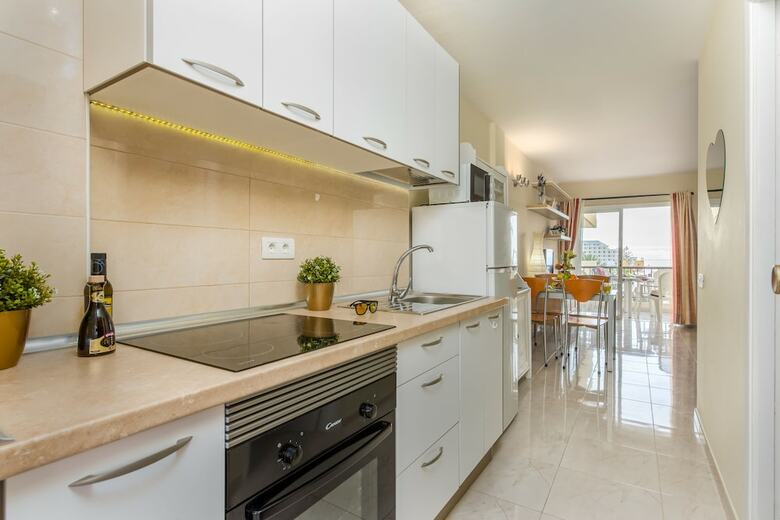 Apartamentos 528. Panoramic Studio With Terrace In Las Americas