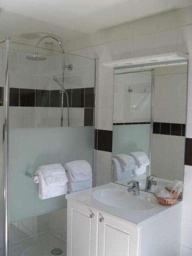 Hotel Logis Le Grand Monarque - Donzy