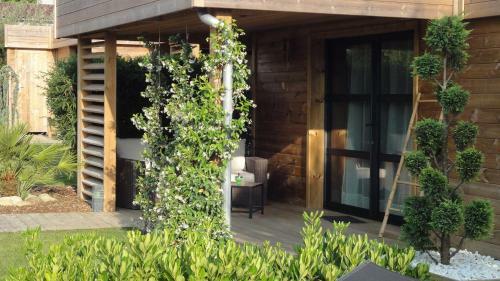 Lodges Timazen