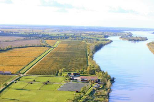 Hostal Les Cinq Sens Du Ch�teau Mayne Lalande