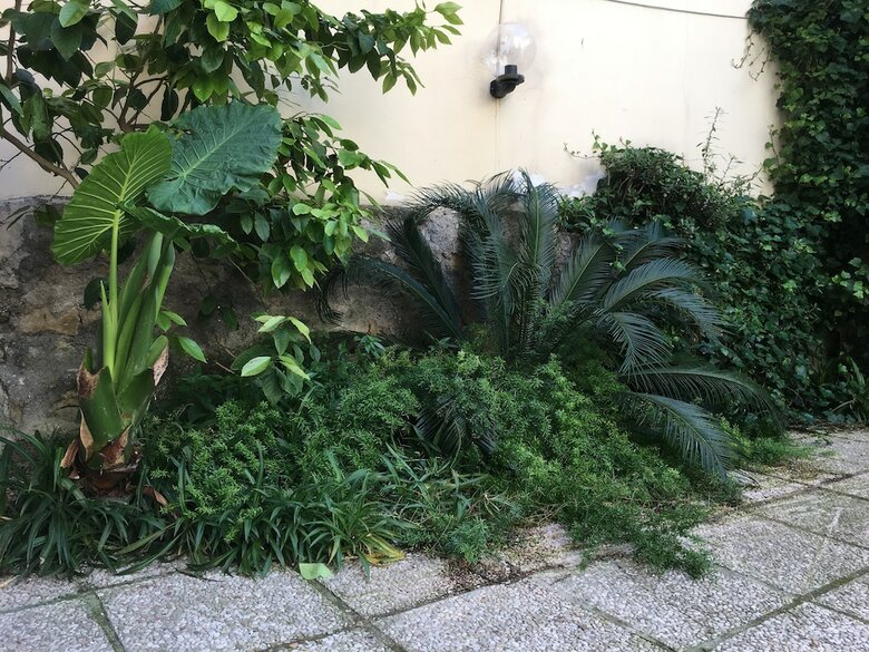 Apartamento Casa Vacanza Belvedere Vomero