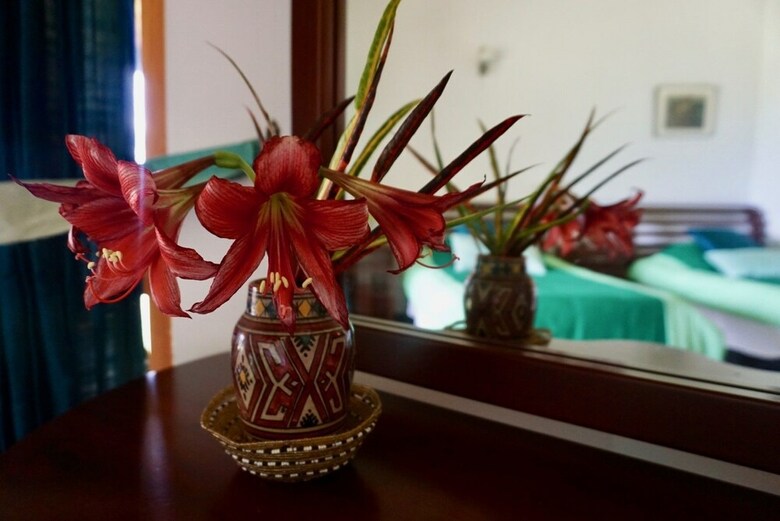 Hotel Jungle Tide Bungalow