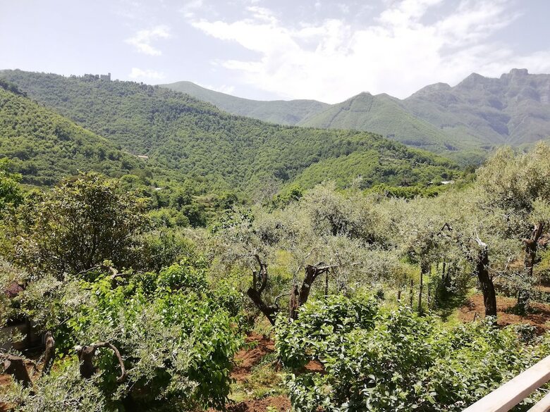 Bed & Breakfast Il Giardino