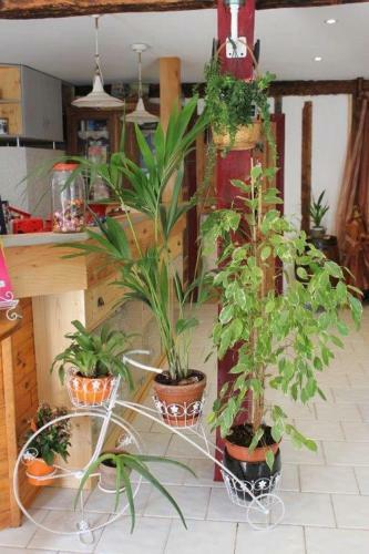 Hostal L'oustal de L'annetta Chambres Et Tables D'h�tes