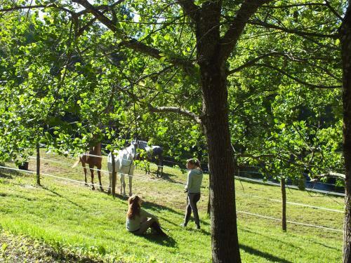 Hotel Les Grillons Du Morvan