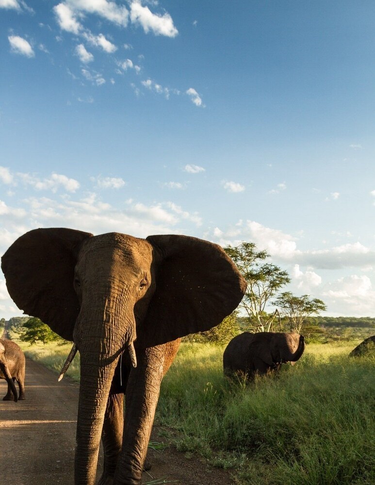 Posada African Spirit Game Lodge