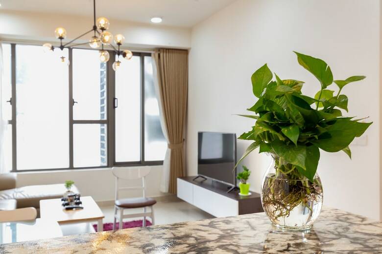 Apartamentos Rose Home