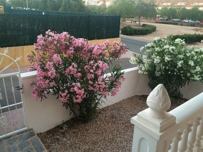 Apartamentos Bungalow En Los Altos