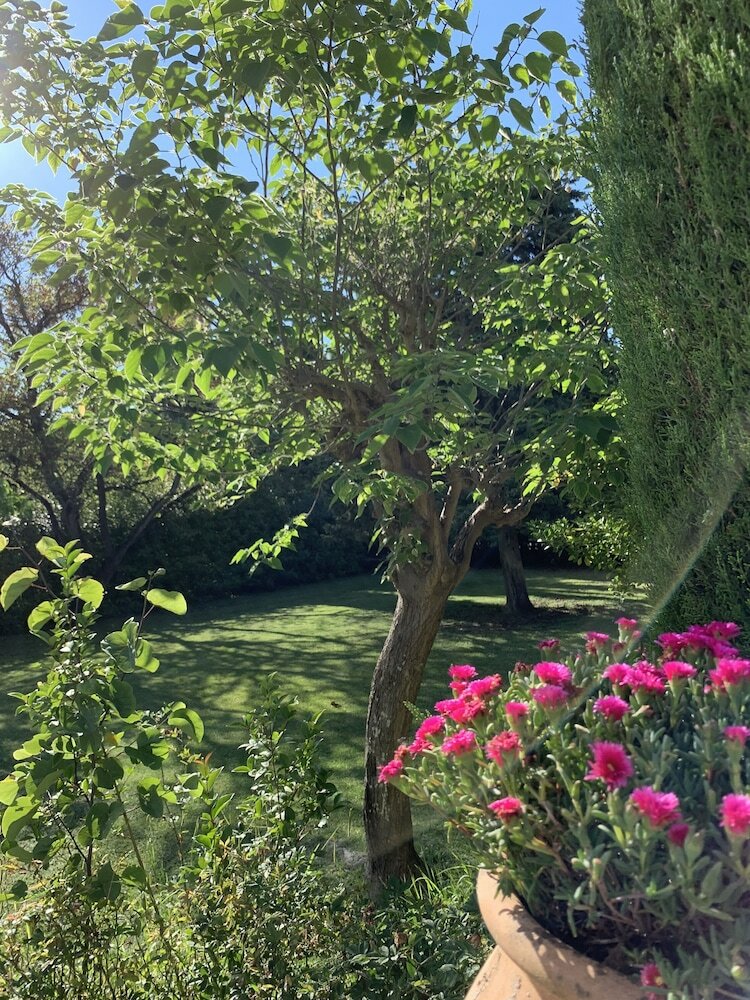 Hotel H�tel de L'abbaye