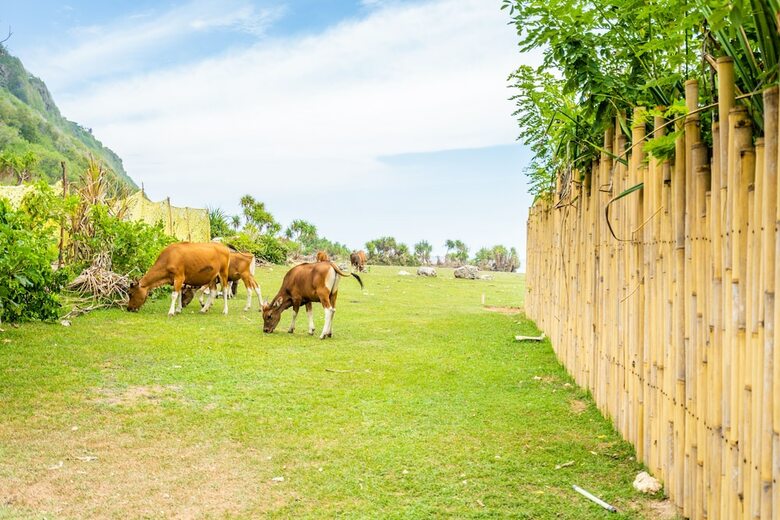 Bubble Hotel Bali Nyang Nyang - Glamping