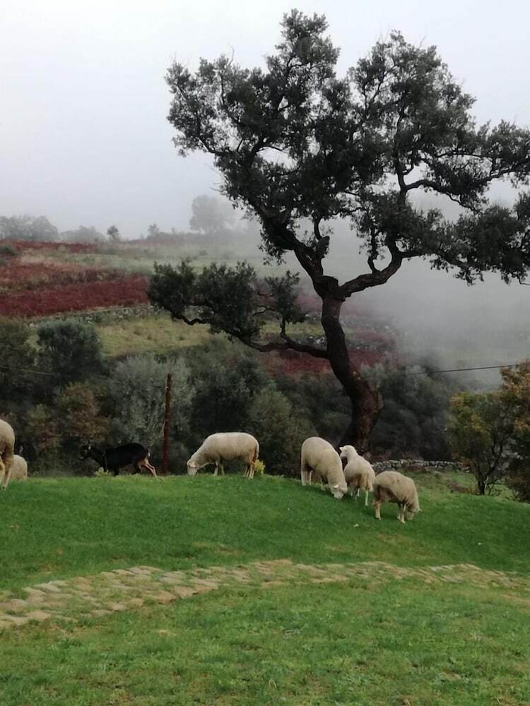 Agroturismo Cerquido Village