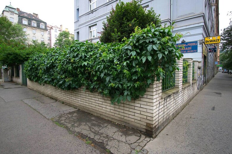 Apartment Four Year Seasons