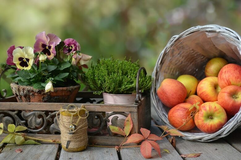 Bed & Breakfast Le Jardin Lazise