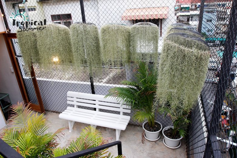 Hostal Tropical Summer Hostel