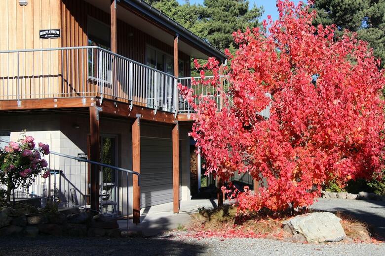 Apartment At Mapleview