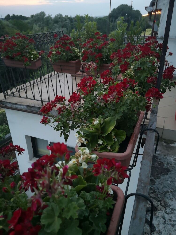 Hotel Jia Xin Sas