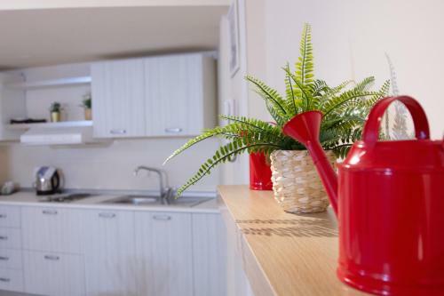 Apartamento Stesicoro Exclusive House