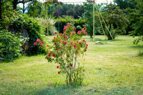 Hotel Logis Auberge Du Grand Ch�ne