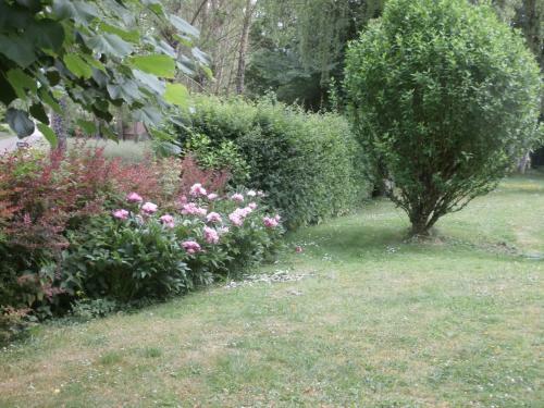 Bed & Breakfast La Parisienne Des Amognes