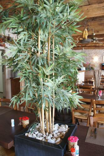 Hotel H�tel Les Tilleuls de Pareloup