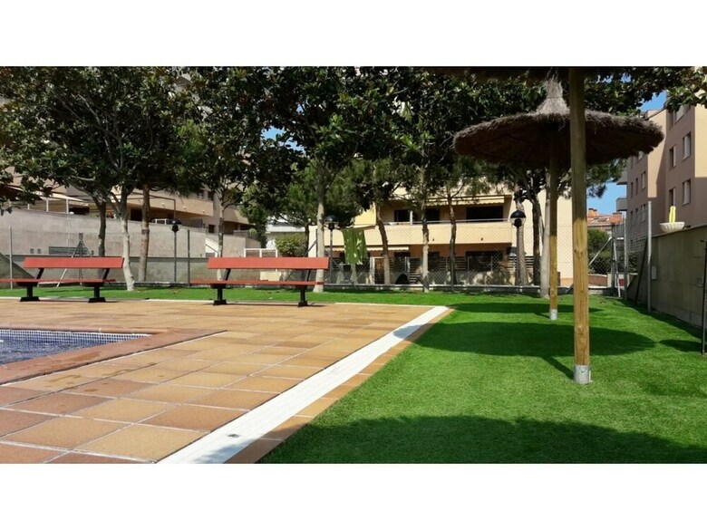 Apartamentos Ficus 4