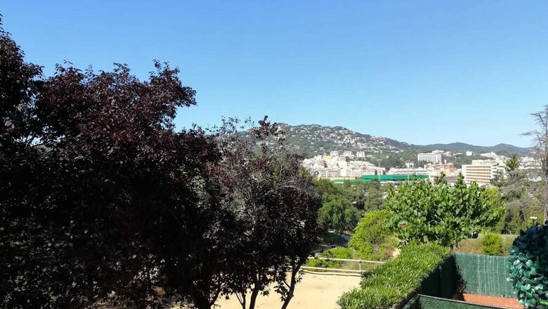 Apartamentos Magnolia