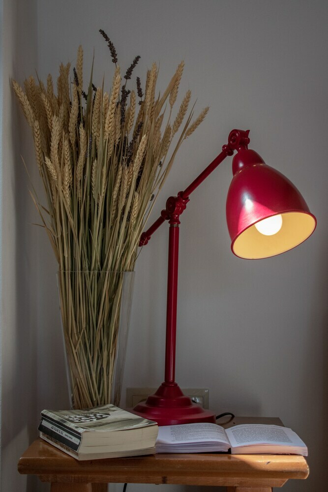 Apartamentos Lucia Studios