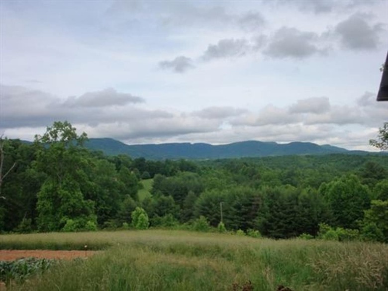 Blue Ridge Manor Bed And Breakfast
