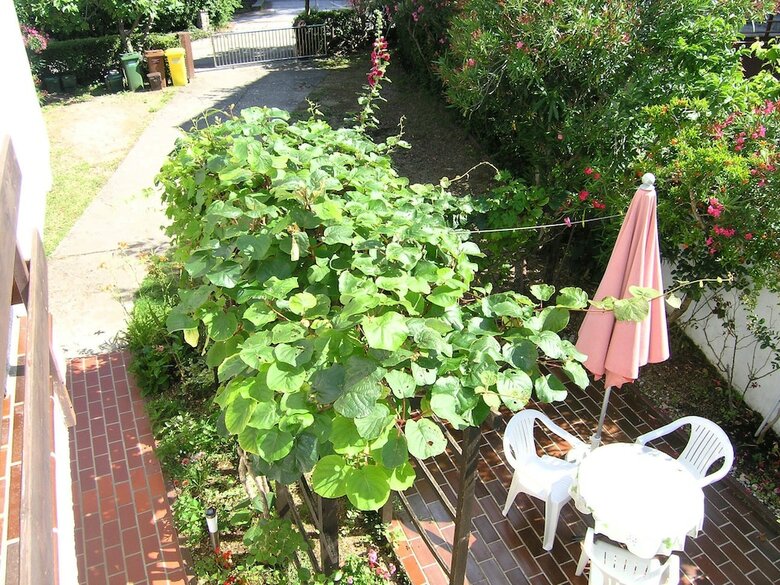 Apartments Ivanek