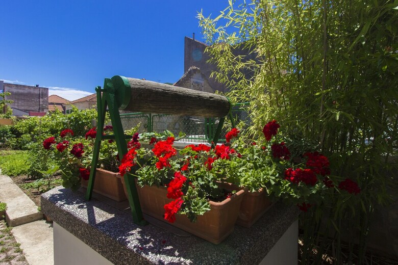 Apartments Borac