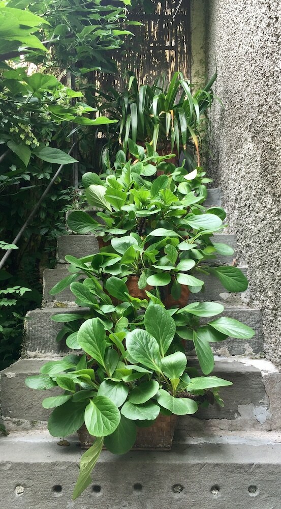 Apartamento In Riva Al Lago Marone