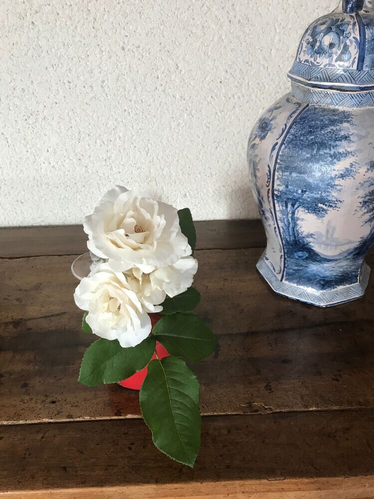 Bed & Breakfast La Chanceli�re