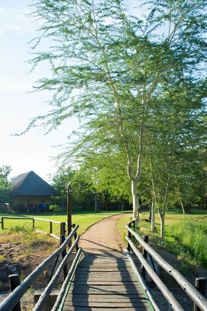 Posada Sefapane Lodges And Safaris
