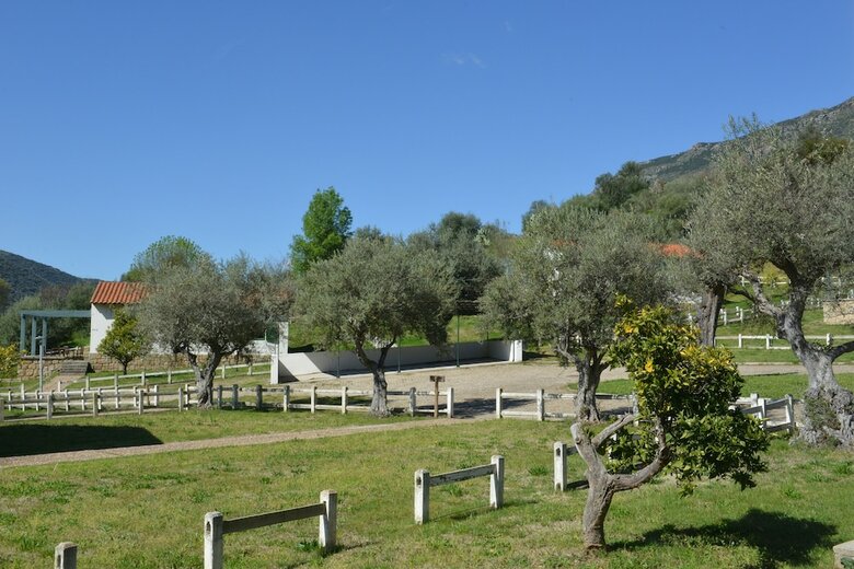 Agroturismo Casas Rurales Aldeaduero