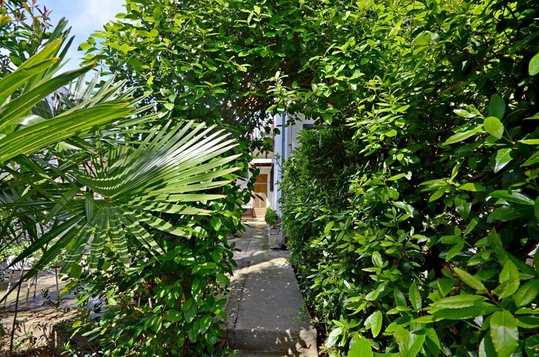 Apartamentos Rooms Summer Tree