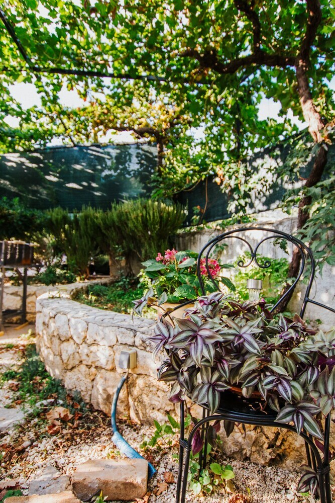 House Jakov