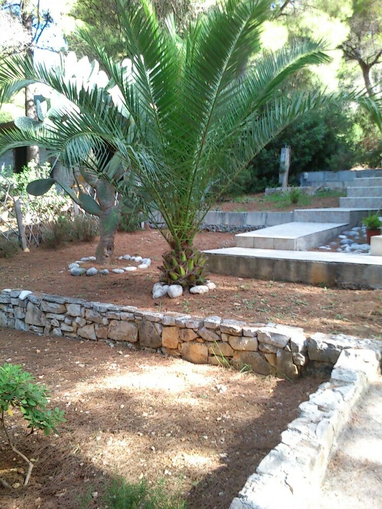 Apartamentos Elena