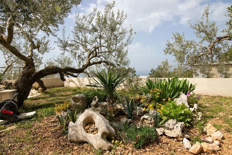 Apartamentos House Arija