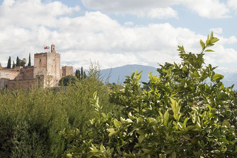 Exclusive Villa Stunning Alhambra View