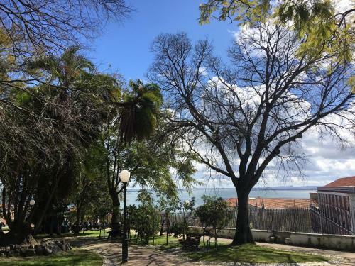 Apartamentos Alfama Flats