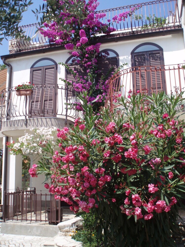 Apartamentos Rooms Violanda