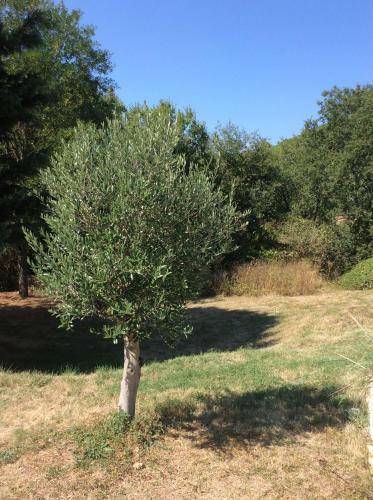 Bed & Breakfast Le Relais Du Pech